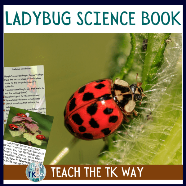Ladybugs facts for kids