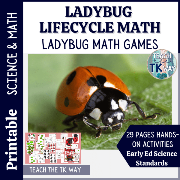 ladybug life cycle math