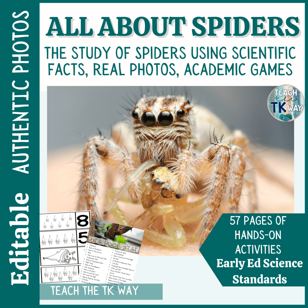 life-cycle-of-a-spider-natural-classroom-specialist