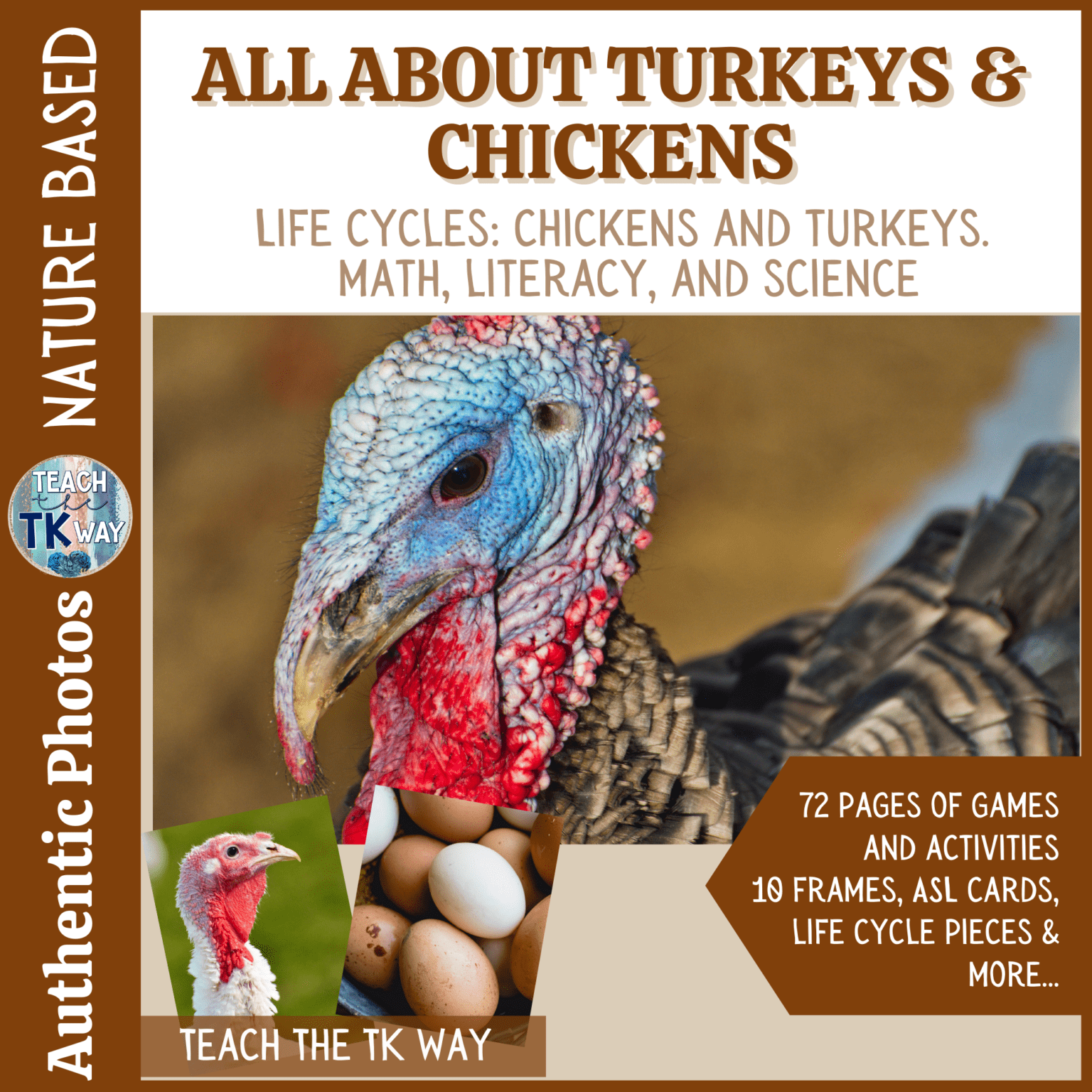 Life Cycle of a Turkey - Natural Classroom Specialist