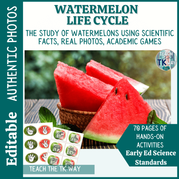life cycle of a watermelon