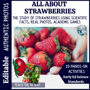 life cycle of a strawberry