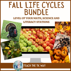 life cycles for kindergarten