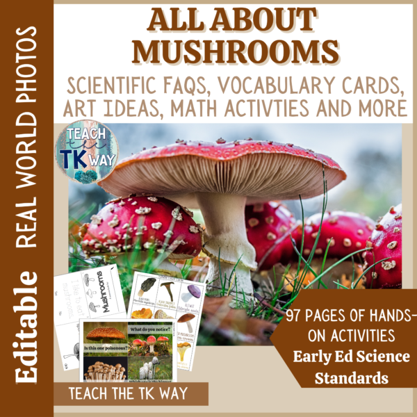mushroom activities for kids