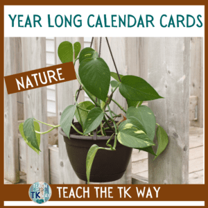 nature themed classroom decor