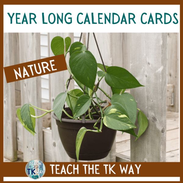 nature themed classroom decor