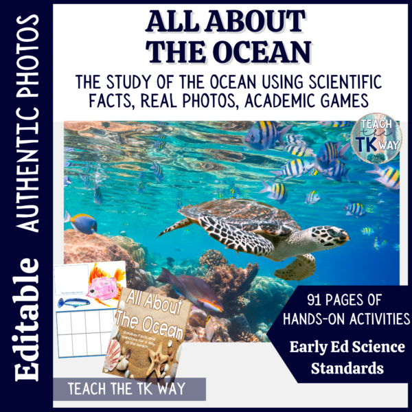 ocean activities for preschoolers