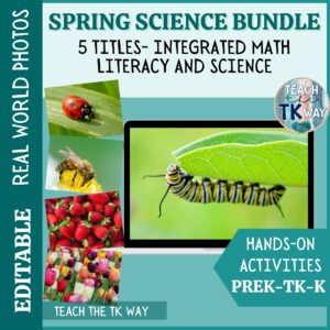 science activities for preschool