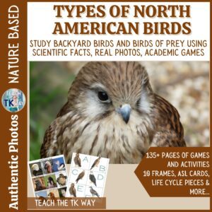 types of North American birds